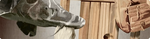 In Search of the Legendary Phineas Ray title image with bearded fish and baseball mitt