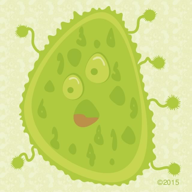 cartoon illustration of bacteria